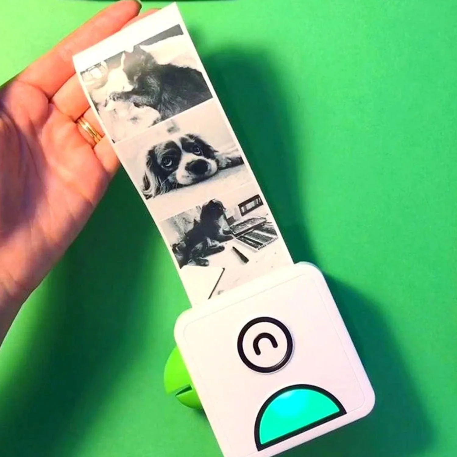 Thumbnail 9